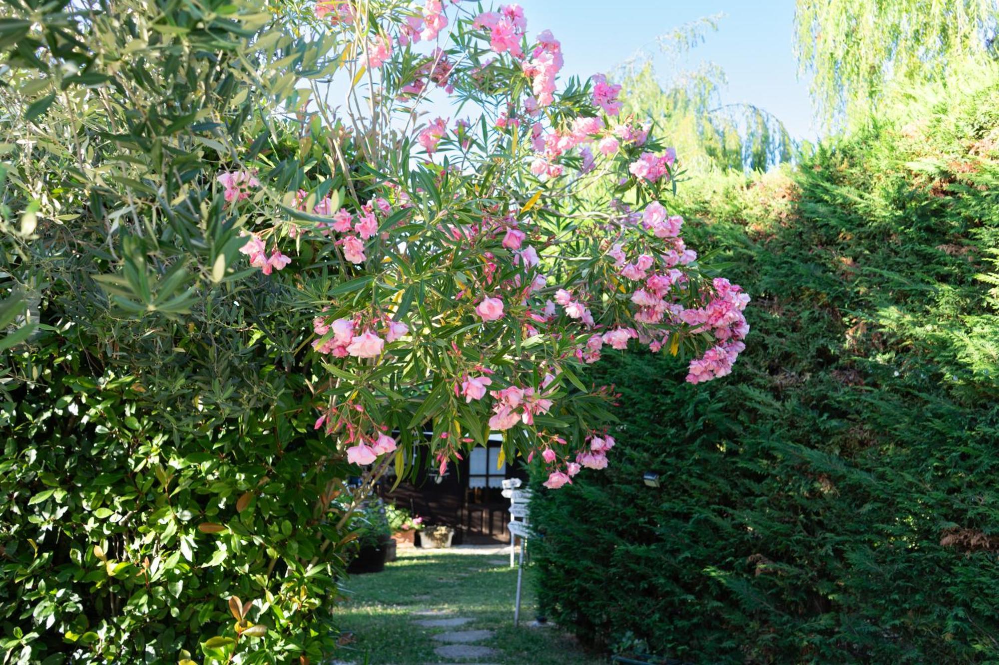 Relaxing Farmhouse San Marino Buitenkant foto