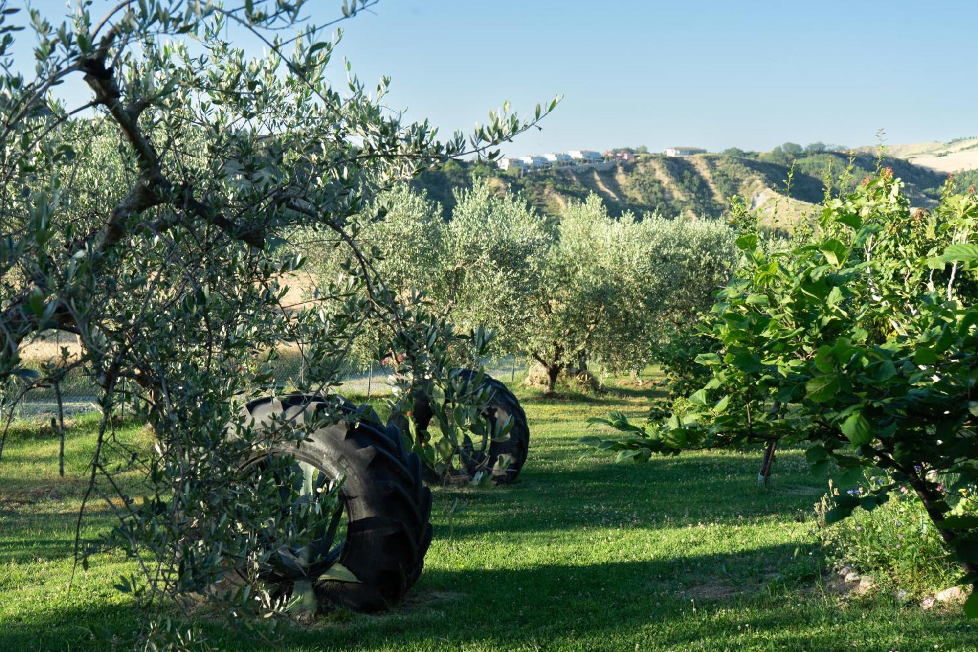 Relaxing Farmhouse San Marino Buitenkant foto