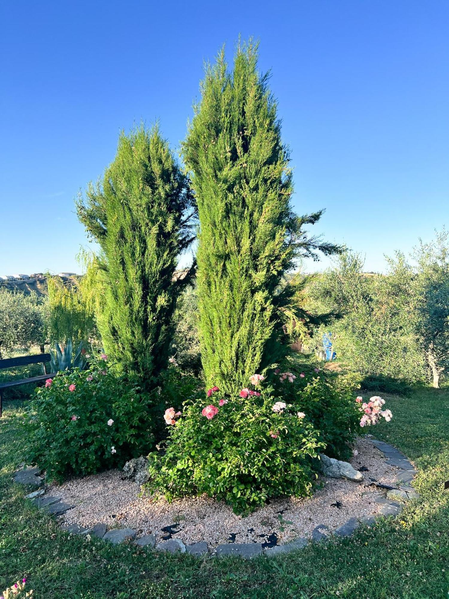 Relaxing Farmhouse San Marino Buitenkant foto